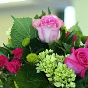 Meet your Posher, Chrisann